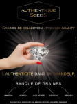 AUTHENTIQUE SEEDS