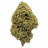 Fleurs CBD Pineapple Express - 3g