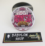 Amnesia (CBD -0,3% THC - Indoor)