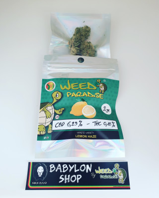 Lemon Haze (CBD -0,3% THC - Indoor)