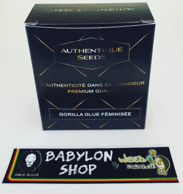 Gorilla Glue Féminisée (Prix spécial !!!!!)