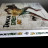 Livre Jamaïcan Street Art