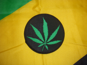 Patch Brodé Thermocollant Feuille Canna Rond